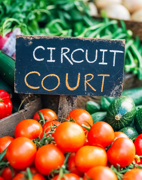 circuit court des ingrédients des pizzas HoBruno